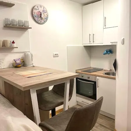 Alma Vracar Apartment *