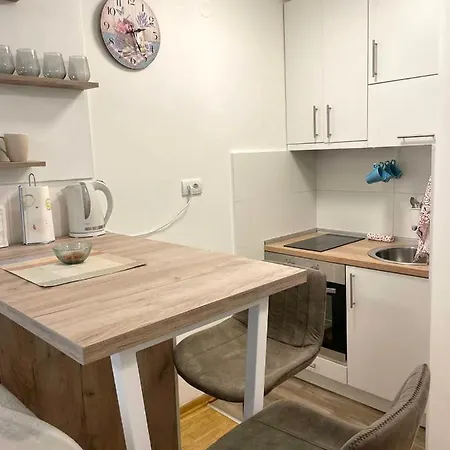 Alma Vracar Apartment *