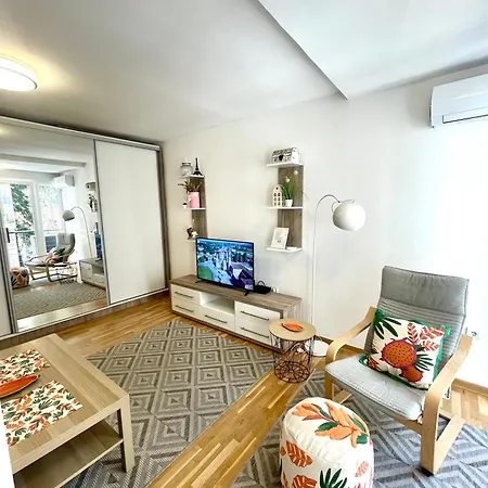 Alma Vracar Apartment *