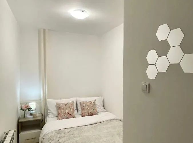 Apartamento Alma Vracar *