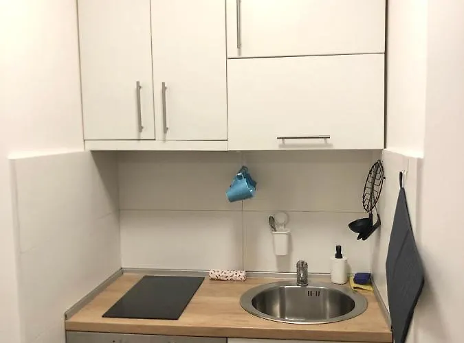 Alma Vracar * Belgrado