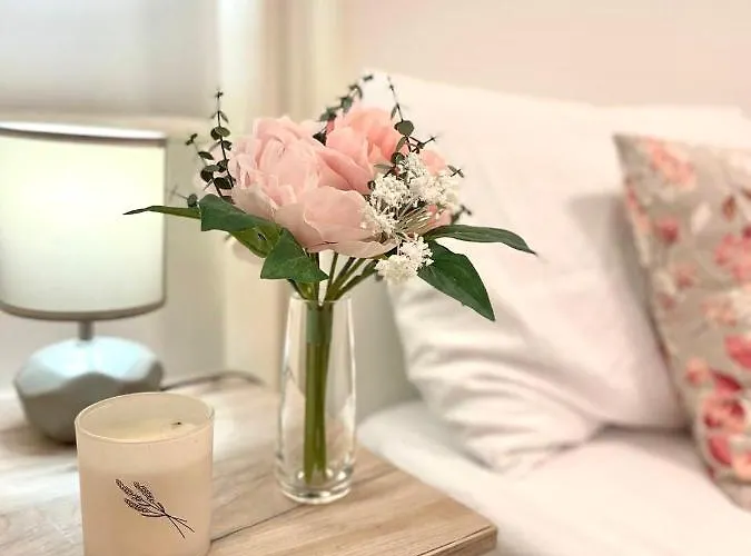 Apartamento Alma Vracar