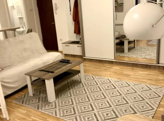 Apartamento Alma Vracar *