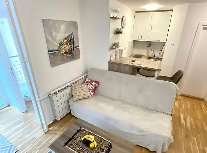 Alma Vracar Belgrado