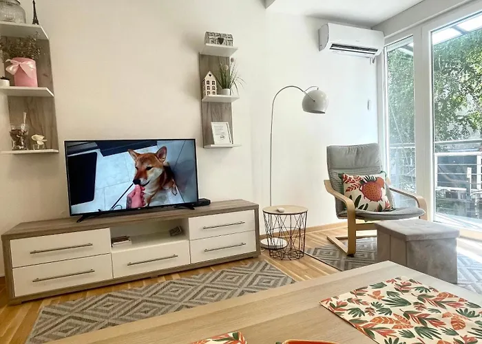 Alma Vracar Belgrado